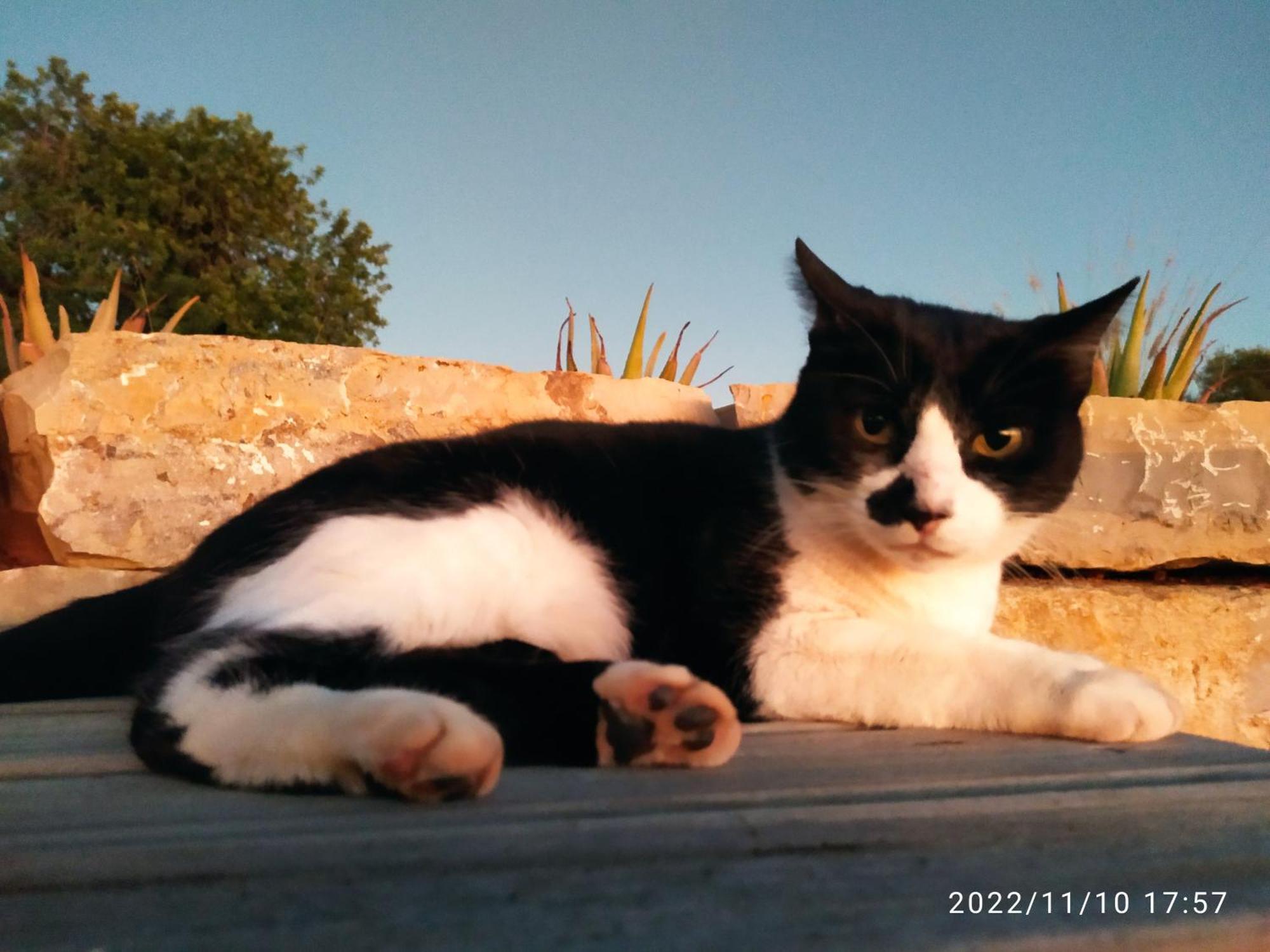 Casa Natura Castro Marim Bagian luar foto